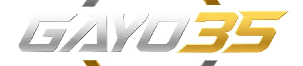 GAYO35: Platform Online Modern dengan Sistem Cepat dan ...